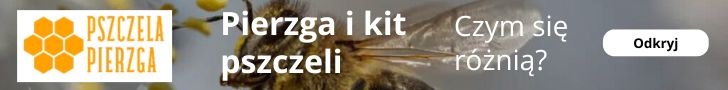 Pierzga pszczela a kit pszczeli – różnice